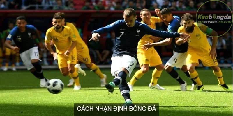 Quy trình phân tích để nhận định bóng đá hiệu quả