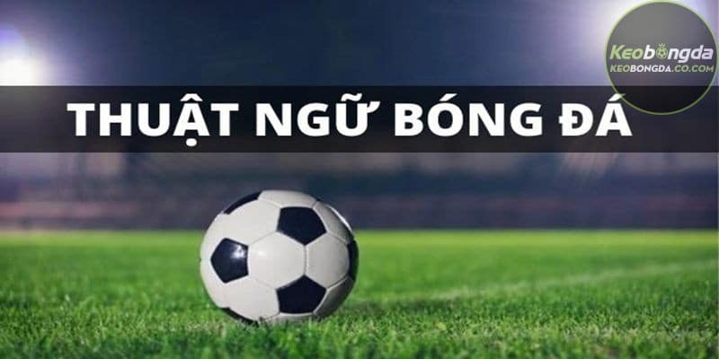 Thuật ngữ về các loại cược phổ biến