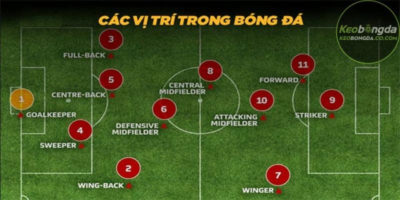 Thuật ngữ bóng đá về chiến thuật và lối chơi