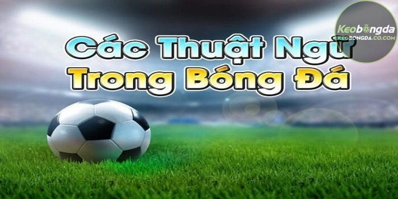 Bóng đá sở hữu một kho tàng thuật ngữ phong phú