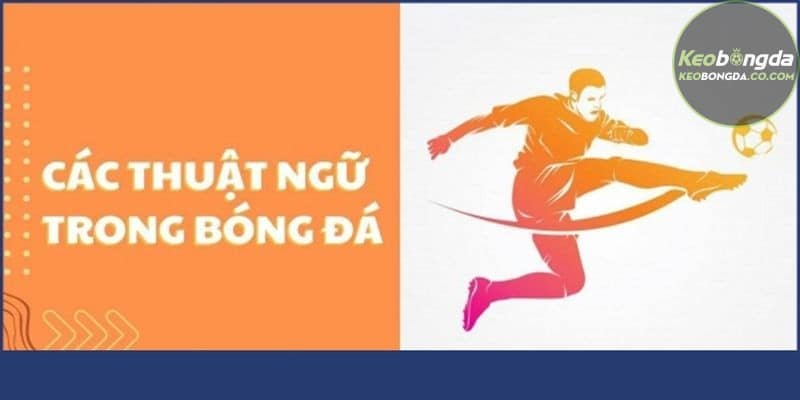Thuật ngữ bóng đá về các pha bóng và hành động